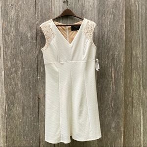 New PeachVelvet Dress - 10